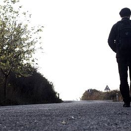 Bilder Asfalt Çiçekleri