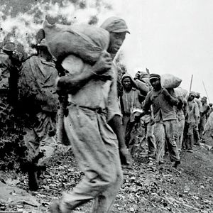 Bilder The Great Flood