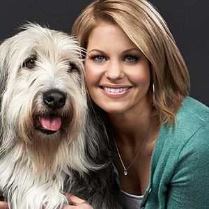 Bilder Alle lieben Jake