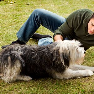 Bilder Alle lieben Jake