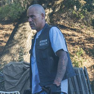 Bilder David Labrava