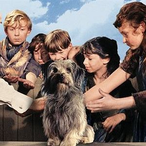 Bilder Der unheimliche Zotti