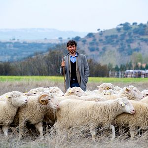 Bilder Raúl Arévalo