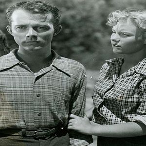 Bilder Die Raubkatze