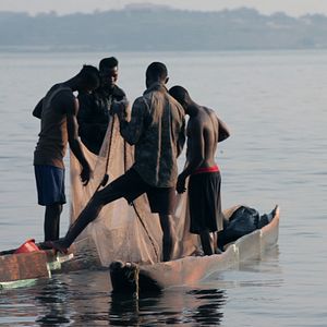 Bilder Plot for Peace