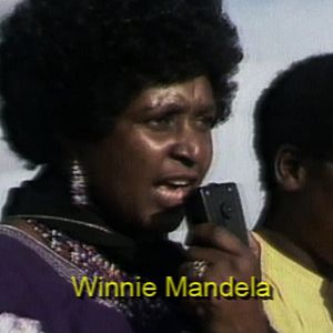 Bilder Plot for Peace