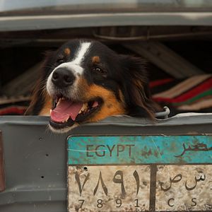 Bilder Fünf Freunde 4