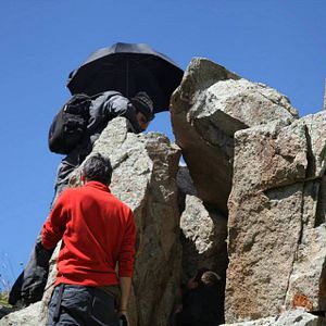 Bilder Kırlangıçlar Susamışsa