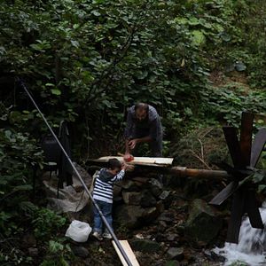 Bilder Kırlangıçlar Susamışsa