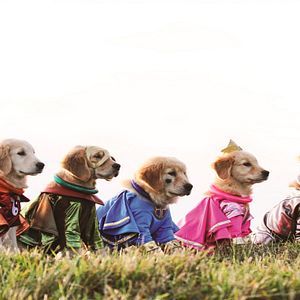 Bilder Super Buddies