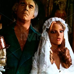 Bilder Grandeur nature