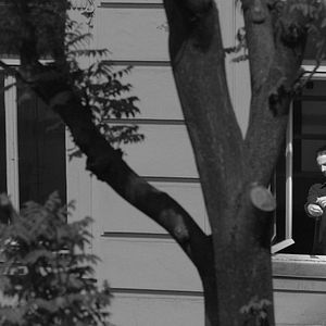 Bilder David Monteiro