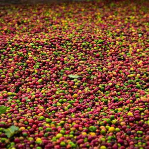 Bilder A Small Section of the World