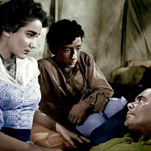 Bilder Der Mann aus Alamo