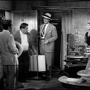 Bilder Borderline - Tijuana Connection