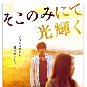 Bilder The Light Shines Only There