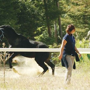 Bilder The Horses of Fukushima