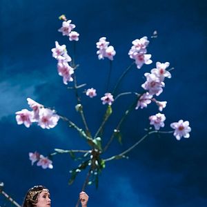 Bilder L'Enlèvement au sérail (FRA Cinéma)