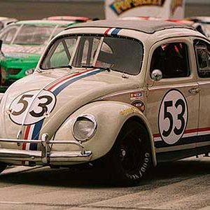 Bilder Ein toller Käfer kehrt zurück