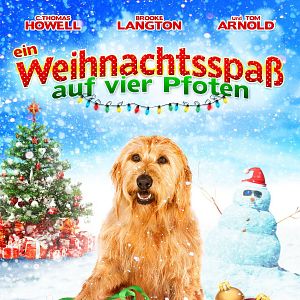 Bilder Ein Weihnachtsspaß auf vier Pfoten