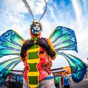 Bilder Under the Electric Sky