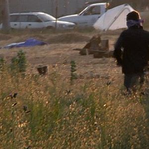 Bilder Occupy the Farm