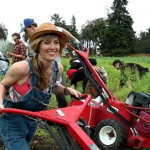 Bilder Occupy the Farm