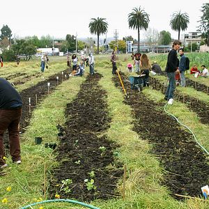 Bilder Occupy the Farm