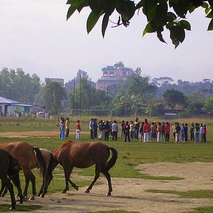 Bilder The Only Real Game