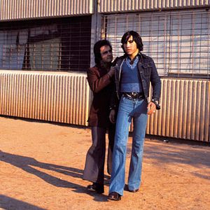 Bilder Perros callejeros