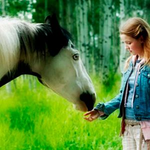 Bilder Ein Pferd für Moondance