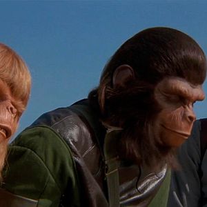 Bilder Die Schlacht um den Planet der Affen