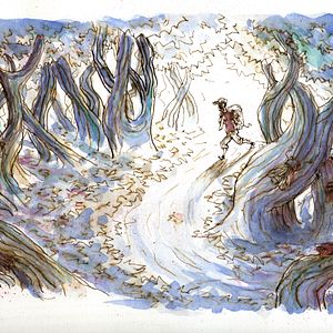 Bilder Hasta Santiago