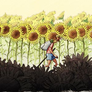 Bilder Hasta Santiago