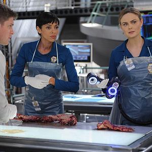 Bilder Tamara Taylor