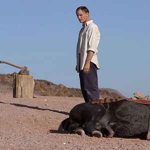 Bilder Den Menschen so fern