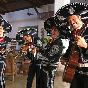 Bilder Qualquer Gato Vira-Lata 2