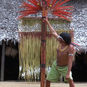 Bilder Urihi Haromatipë – Curadores da Terra-Floresta