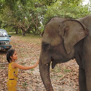 Bilder Retour à la vie