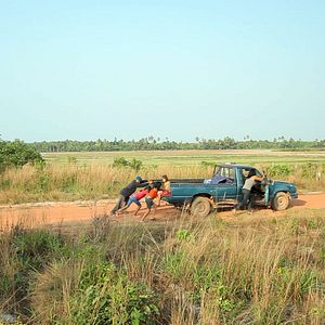 Bilder Retour à la vie