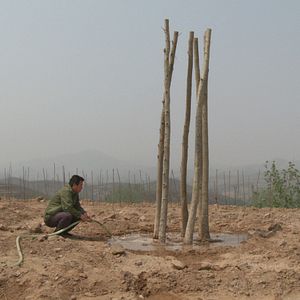 Bilder Sud Eau Nord Déplacer
