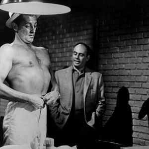 Bilder Kap der Angst