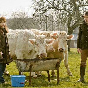 Bilder Jean-Pierre Darroussin