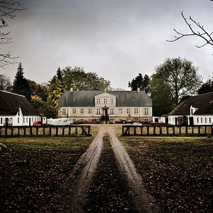 Bilder Die Erbschaft