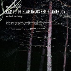 Bilder Campo de Flamingos Sem Flamingos