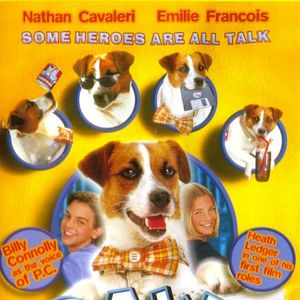 Bilder P.C. - Ein Genie auf vier Pfoten