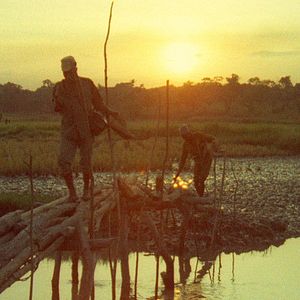 Bilder Concerning Violence