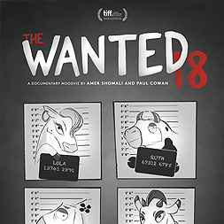 Bilder The Wanted 18