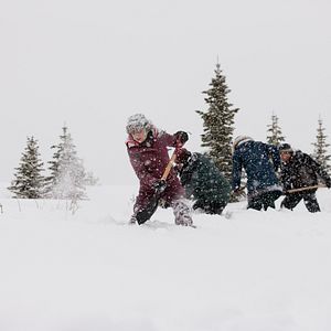 Bilder Ruf der Pferde - Ein Mädchen folgt seinem Herzen
