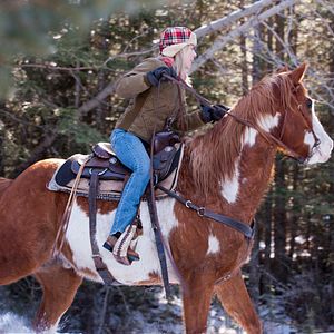 Bilder Ruf der Pferde - Ein Mädchen folgt seinem Herzen